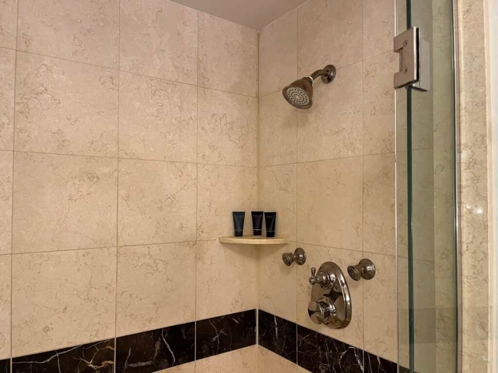 Bathroom Shower, The Palazzo Las Vegas 