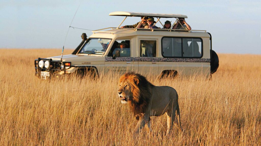 Micato Safaris