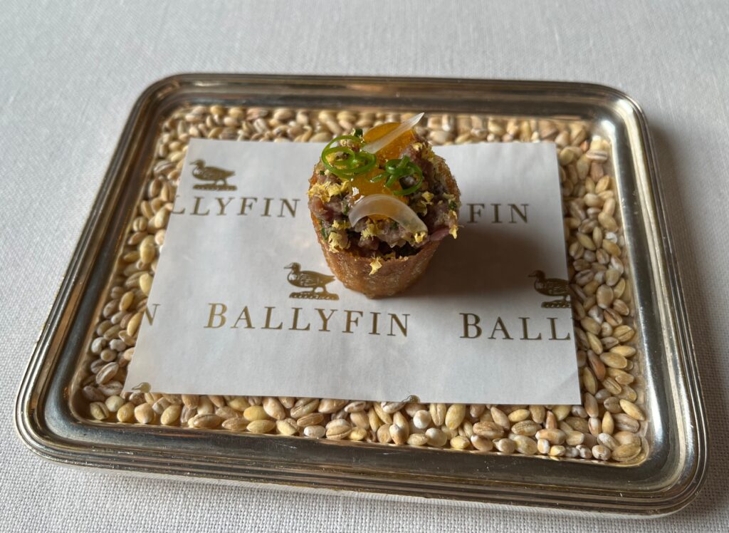 Beef Tartare Amuse Bouche, Ballyfin Review