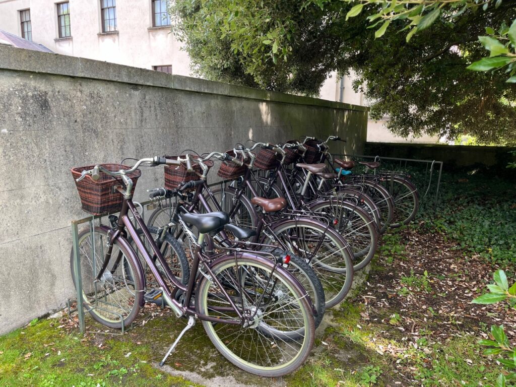 Ballyfin Bicycles