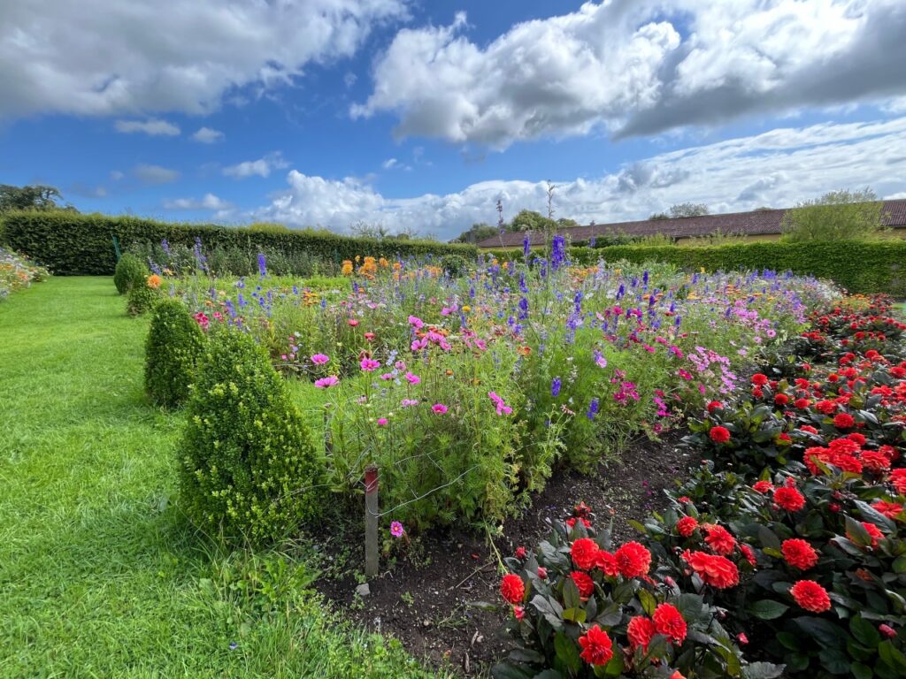 Ballyfin Garden