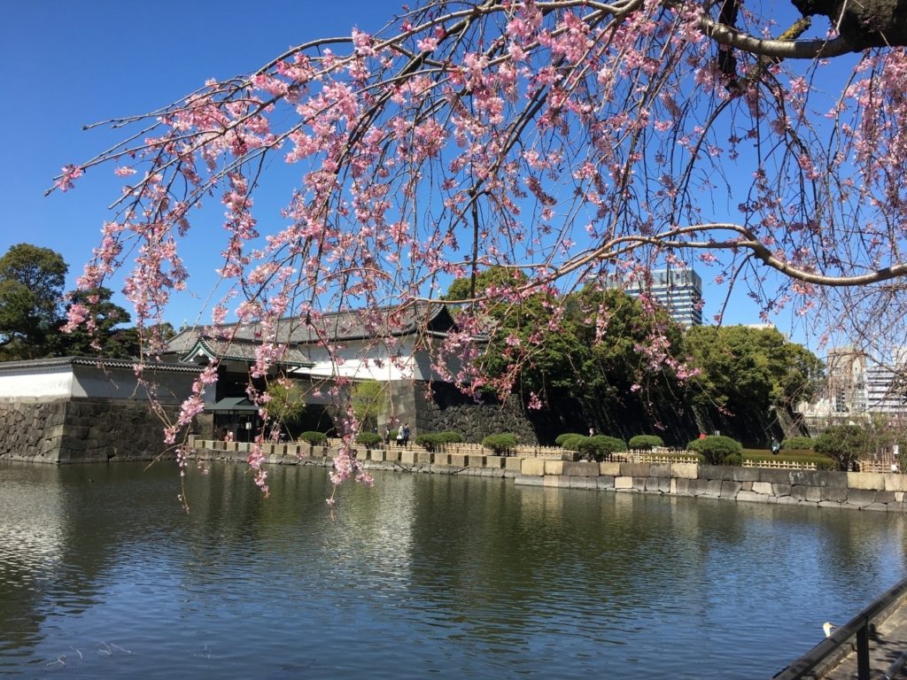 Fly Delta One Suites to Tokyo from 89K Miles