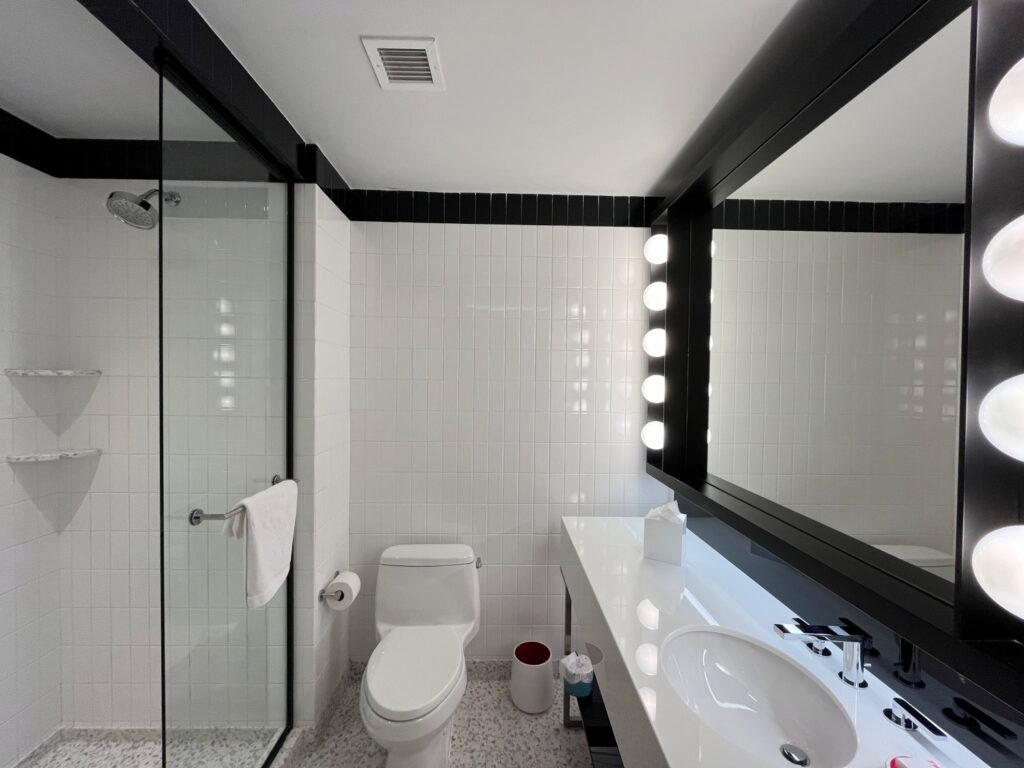 Deluxe King Bathroom, TWA Hotel JFK Review