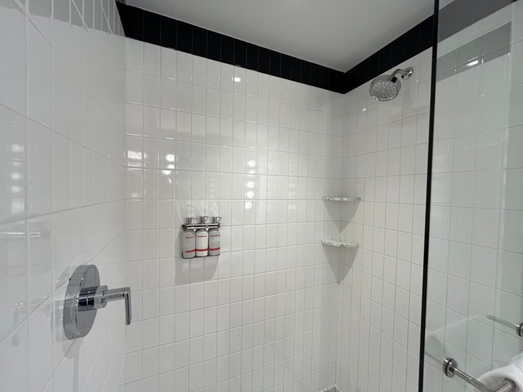 Shower, TWA Hotel JFK Review