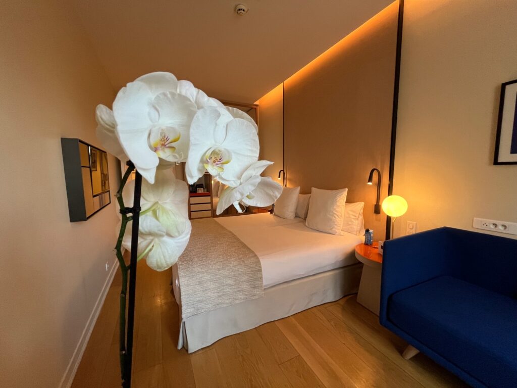 Hotel Bel Ami, Paris Deluxe Room