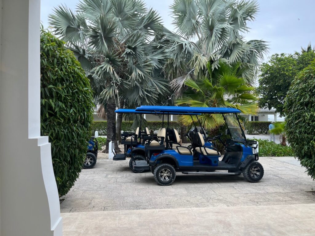 Golf Cart Buggy, Ambergris Cay Review