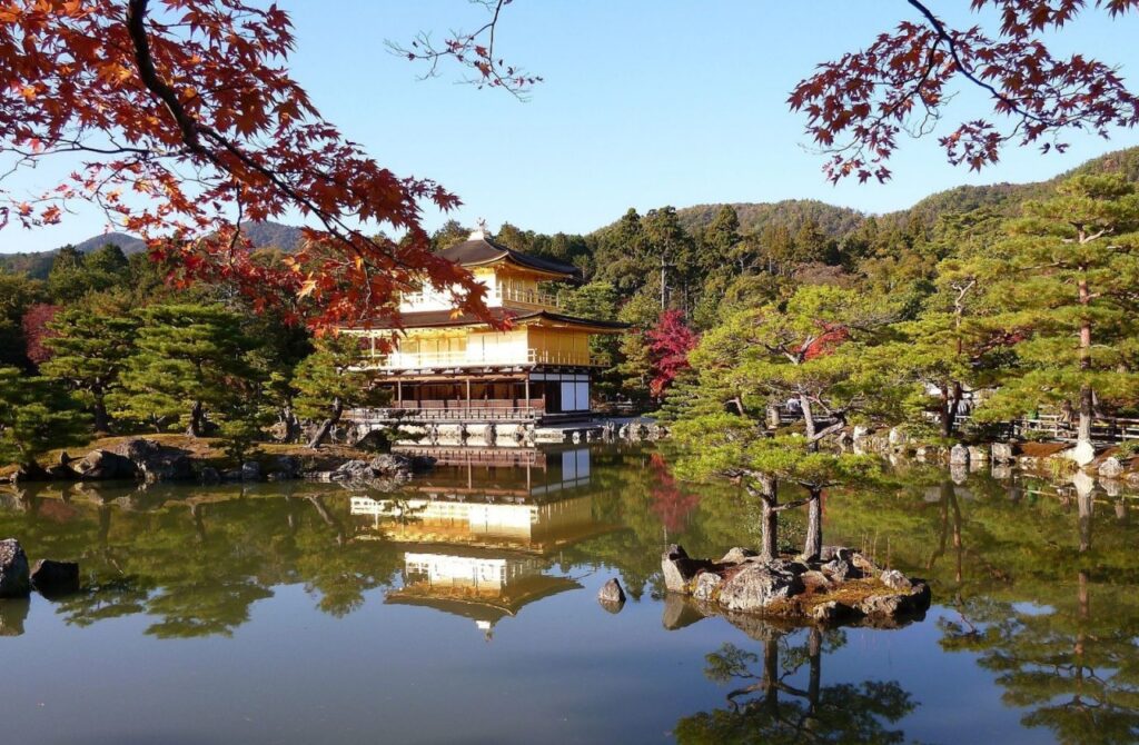 Fly JAL Business Class from Hawaii for 60K Miles