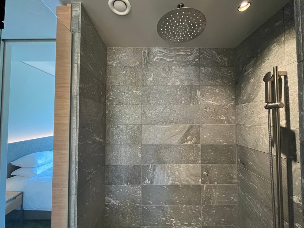King Park View Rain Shower, Hyatt Regency Zurich Airport The Circle Review