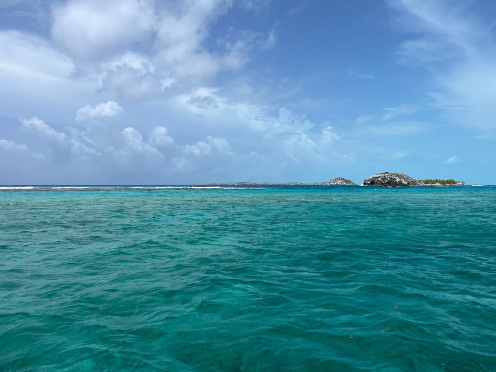 Maximize AMEX Offers: Luxury Collection, W Hotels